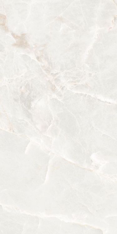 Brasilia White Matte 12 x 24